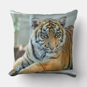 Coussin Tigre 034