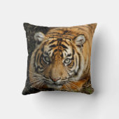 Coussin Tigre 037 (Verso)