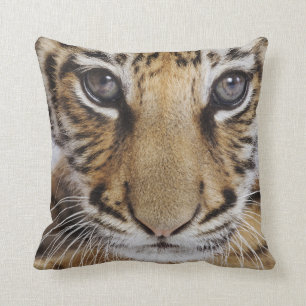 Coussin Tigre CUB