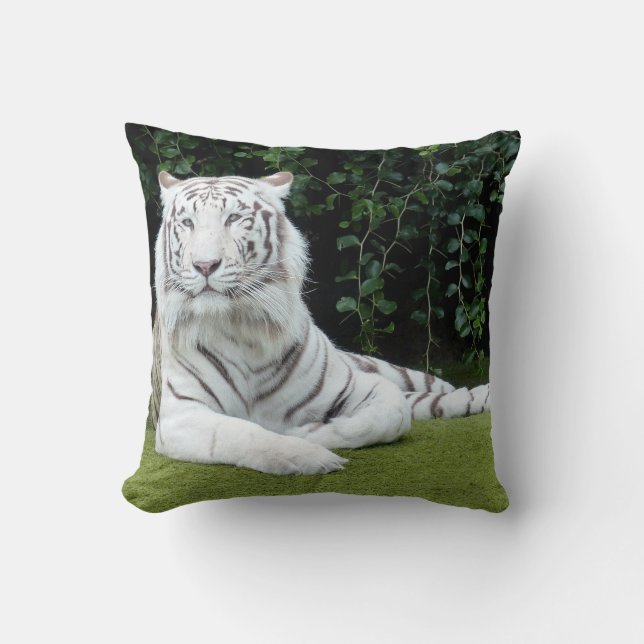 Coussin tigre de Bengale blanc (Recto)