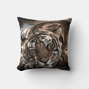 Coussin Tigre de Ranthambore : gros plan.