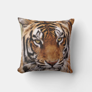 Coussin Tigre du Bengale, Panthera tigris