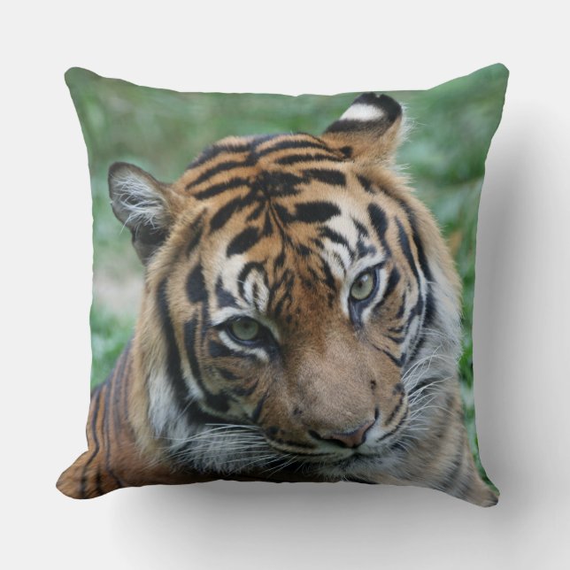 Coussin Tigre gauche et droite 002 (Recto)