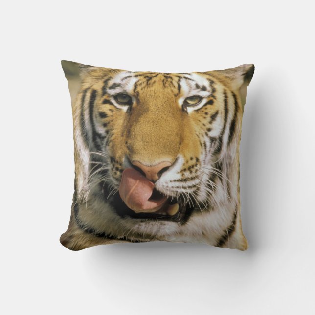 Coussin Tigre Zoo du Michigan (Recto)