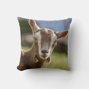 Coussin Toggenburg Dairy Goût Kid