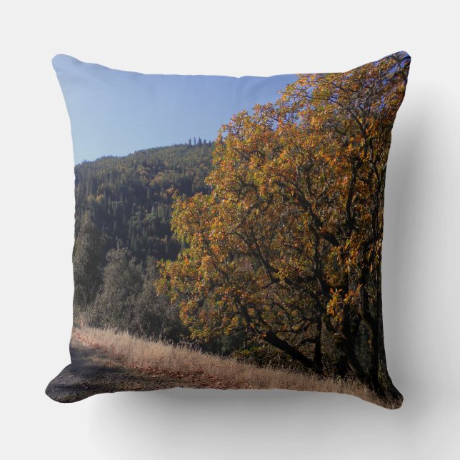 Coussin Tombe dans les montagnes.... (Recto)