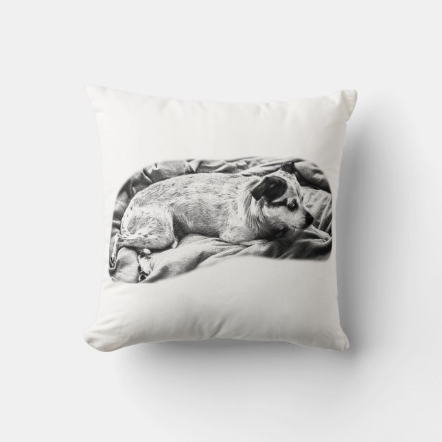 Coussin Tonalité Velours Terrier, Repose Repose Reposée (Recto)