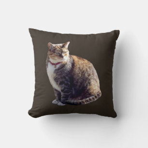 Coussin Tortoiseshell