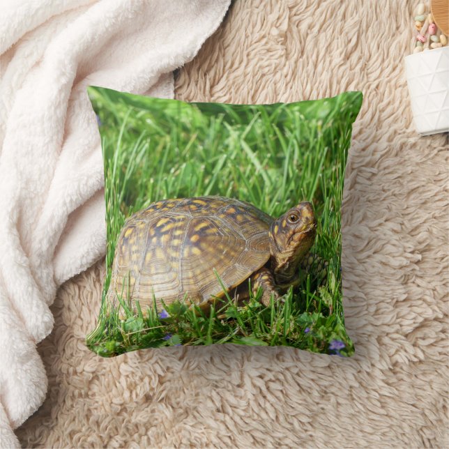 Coussin Tortue (Couverture)