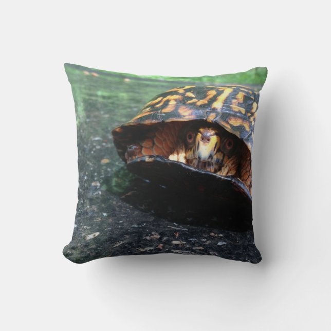 Coussin Tortue (Recto)