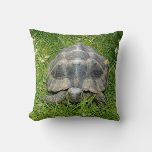 Coussin Tortue dans l'herbe verte