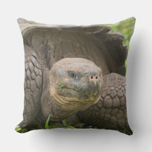 Coussin Tortue géante