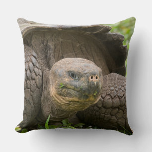 Coussin Tortue géante