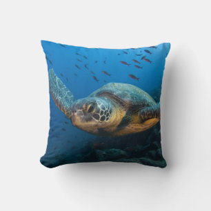 Coussin Tortue noire (verte) (Chelonia agassizi)
