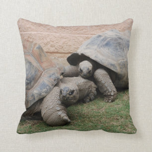 Coussin tortues géantes
