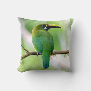 Coussin Toucanet émeraude du Nord & Barbu à tête rouge