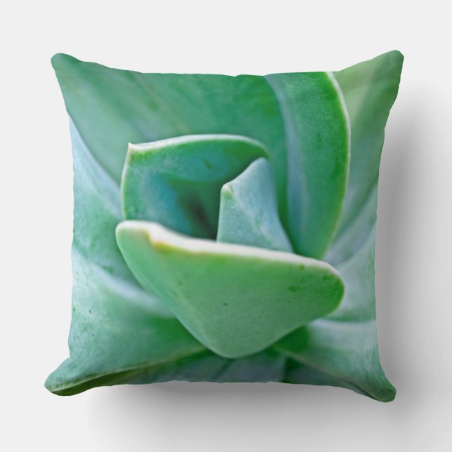 Coussin Tourbillon Succulent (Recto)