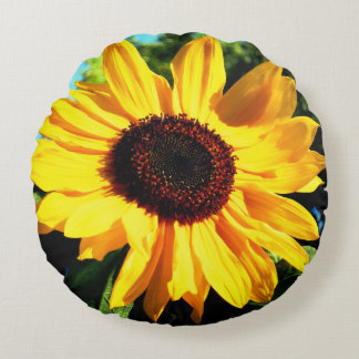 Coussin tournesol