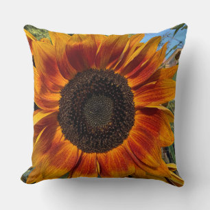 Coussin Tournesol