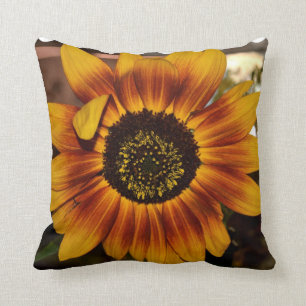 Coussin Tournesol brillant