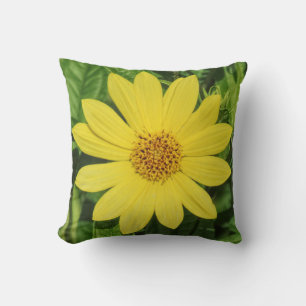 Coussin Tournesol de Helianthus 'Lemon Queen'