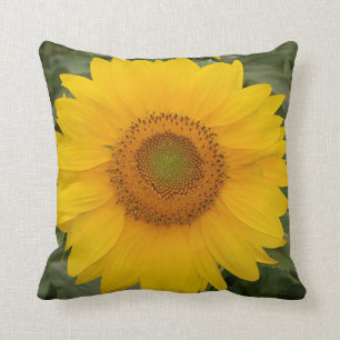 Coussin Tournesol jaune ensoleillé