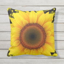 Tournesol jaune vif