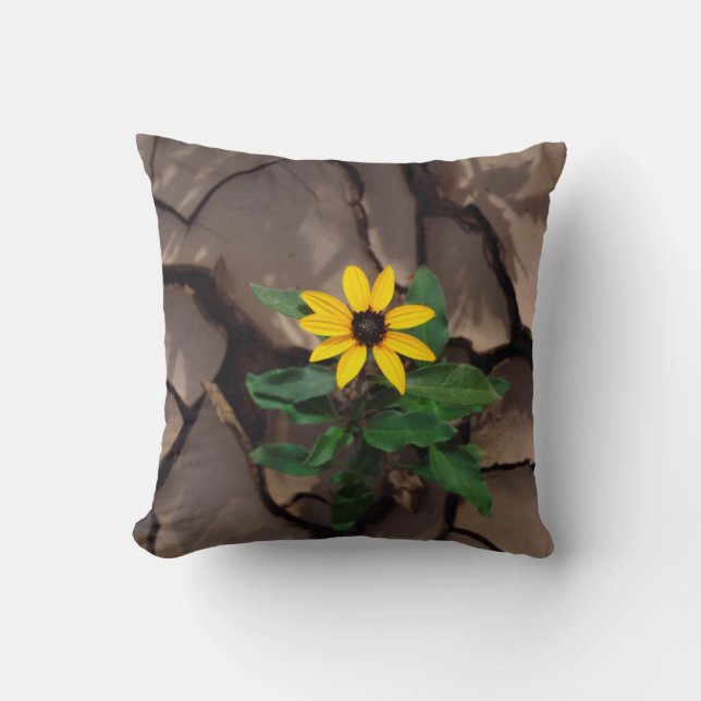 Coussin Tournesol poussant de boue fissurée (Recto)
