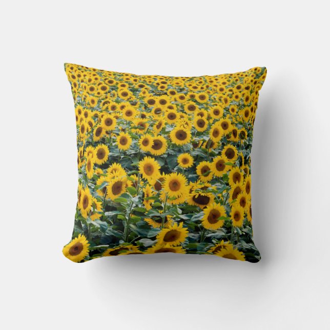 Coussin Tournesols, champ du Wisconsin (Recto)