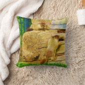 Coussin Tout sur les marmottes - Marmotte à ventre jaune (Couverture)