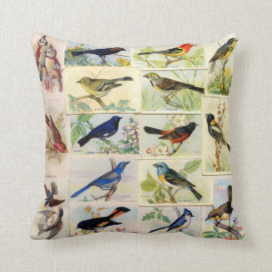 Coussin Toutes les sortes d'oiseaux