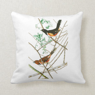 Coussin Towhe donnant un petit coup des oiseaux de John