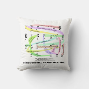 Coussin Translocations chromosomiques Karyogramme
