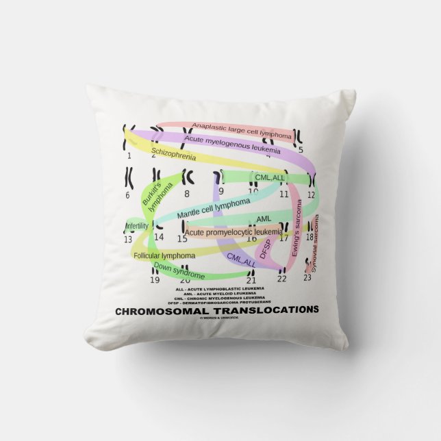 Coussin Translocations chromosomiques Karyogramme (Recto)