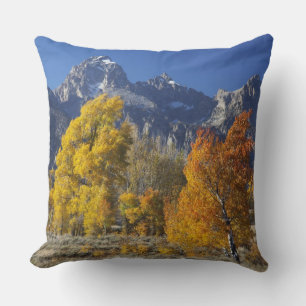 Coussin Trembles avec la chaîne de montagnes Teton