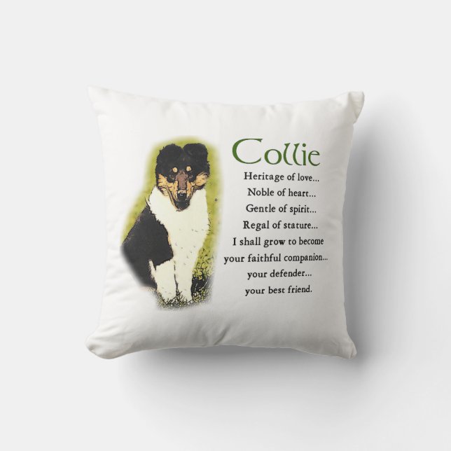 Coussin Tri Color Rough Collie Puppy (Recto)