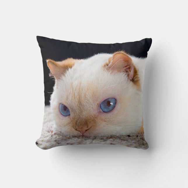 Coussin Trident le carreau de chat (Recto)