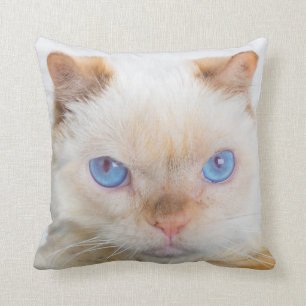 Coussin Trident le carreau de chat