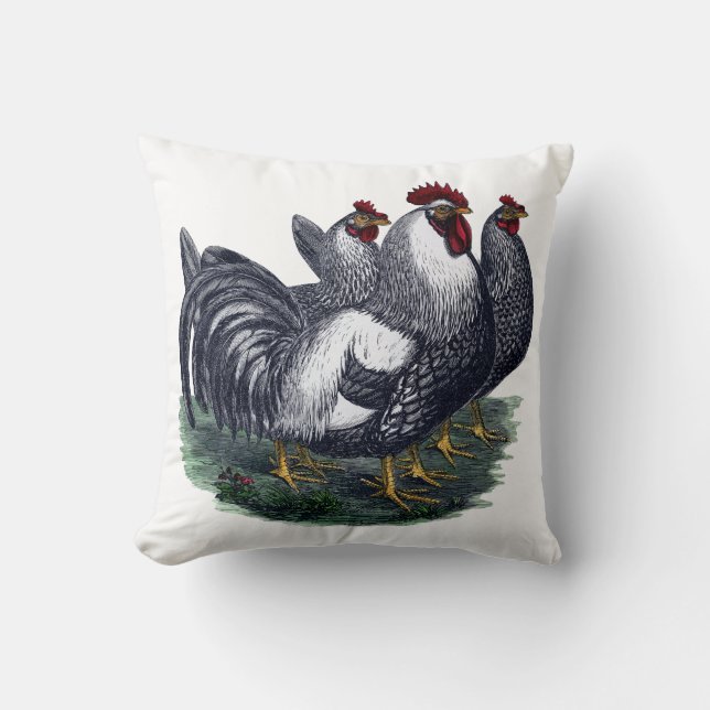 Coussin Trio vintage de poulet (Recto)