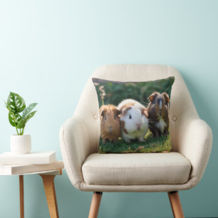 Coussin Trois bébés cochons de Guinée,