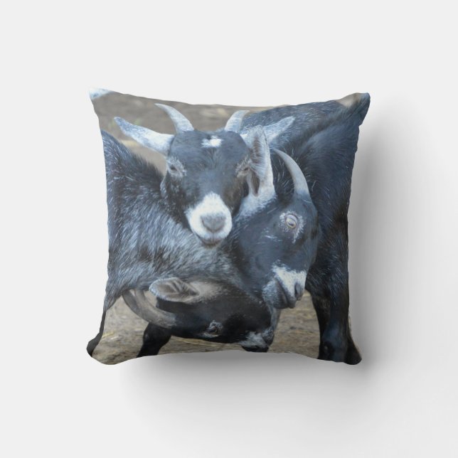 Coussin Trois chèvres drôles dans une serrure principale (Recto)