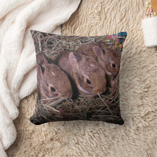 Coussin Trois D'Affilée (Couverture)