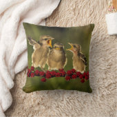 Coussin Trois oiseaux de Schach de Lanius de bébé (Couverture)