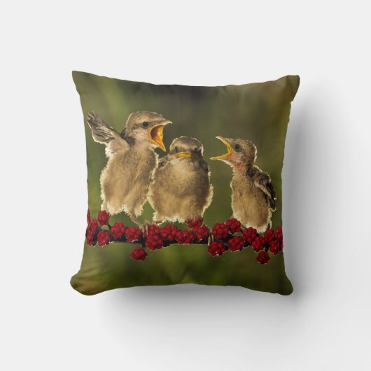 Coussin Trois oiseaux de Schach de Lanius de bébé (Recto)