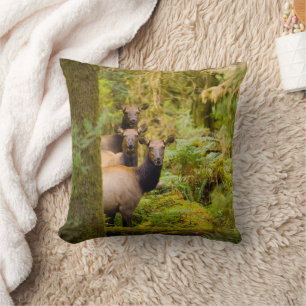 Coussin Trois vaches élans de Roosevelt regardant la vue