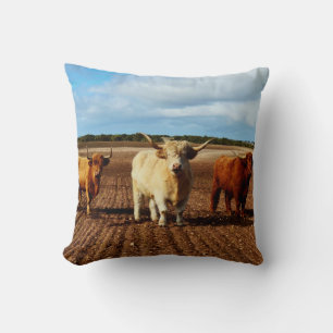 Coussin Trois Vaches Vilaines Des Highlands,