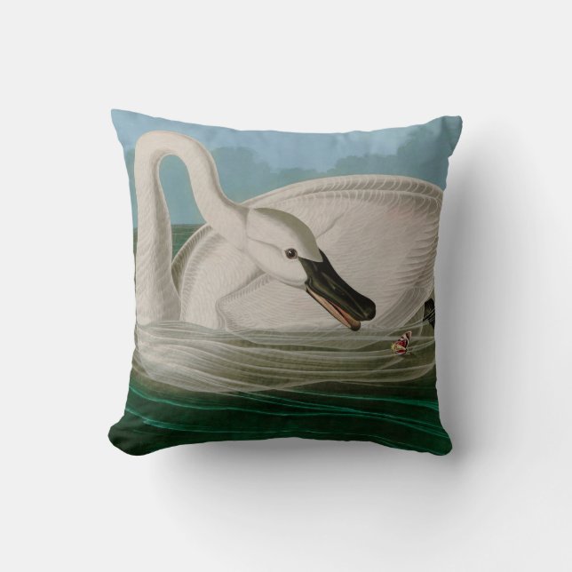 Coussin Trumpeter Swan Birds of America Audubon Print (Recto)