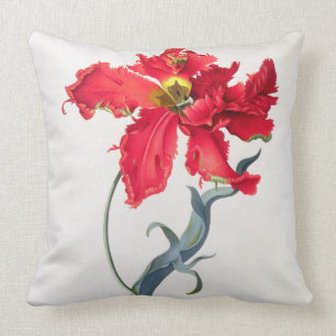 Coussin Tulipe : Fard à joues de Perroquet