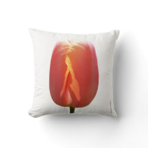 Tulipe rouge