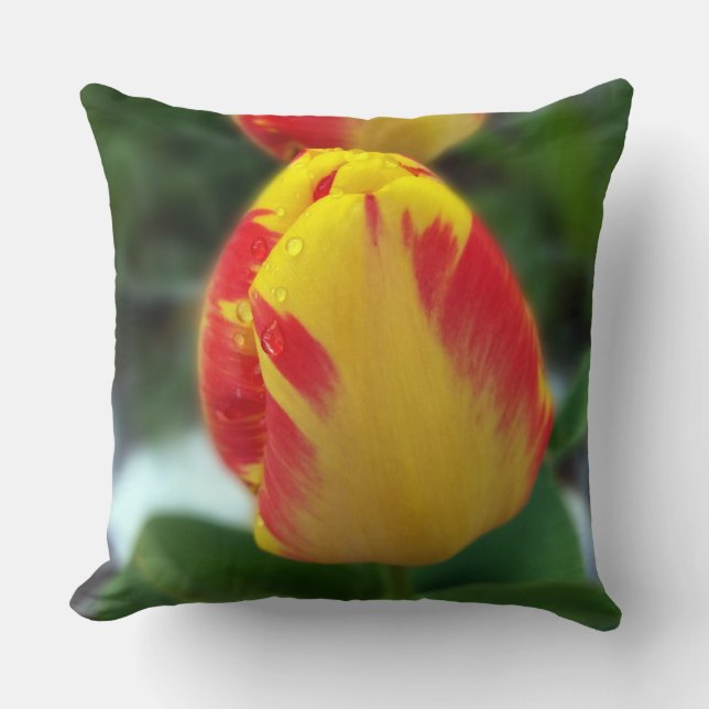 Coussin tulipe rouge jaune (Recto)